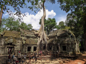 ta prohm temple