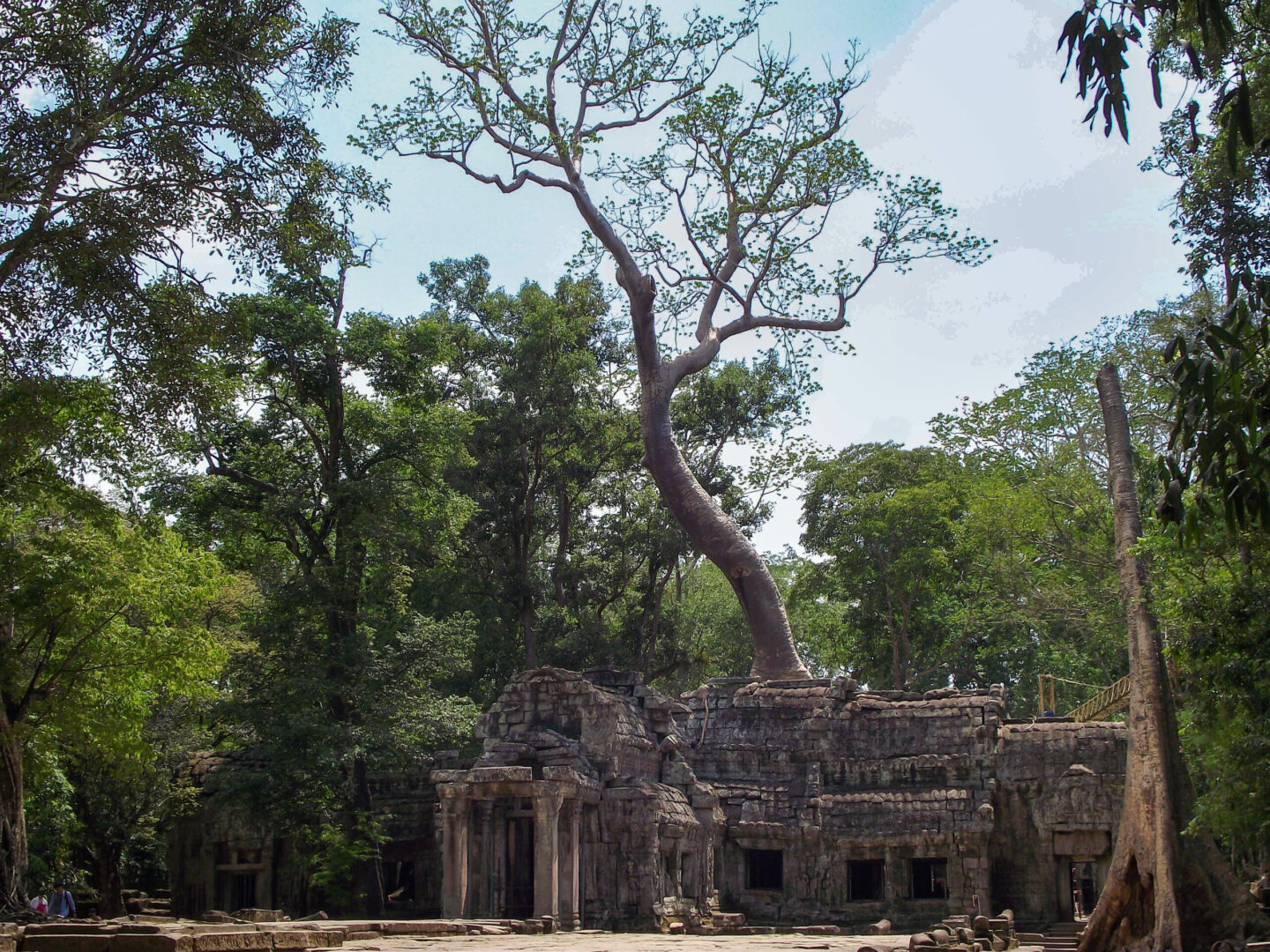 Ta Prohm cambodge