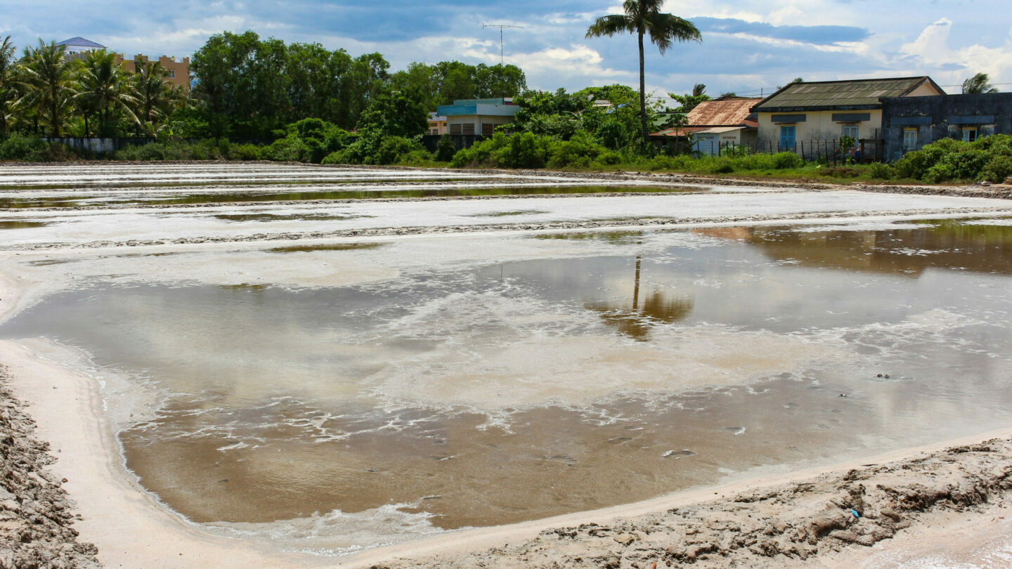 Champs de sel de Kep destination cambodge