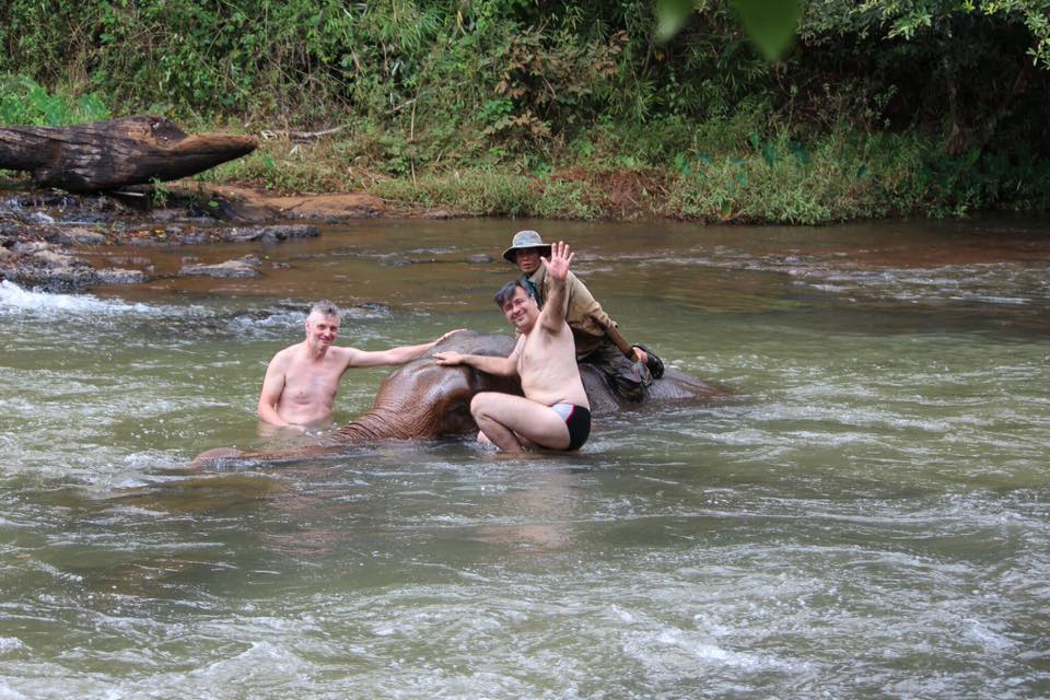 Randonnée à dos d'éléphant avec guide d'une journée