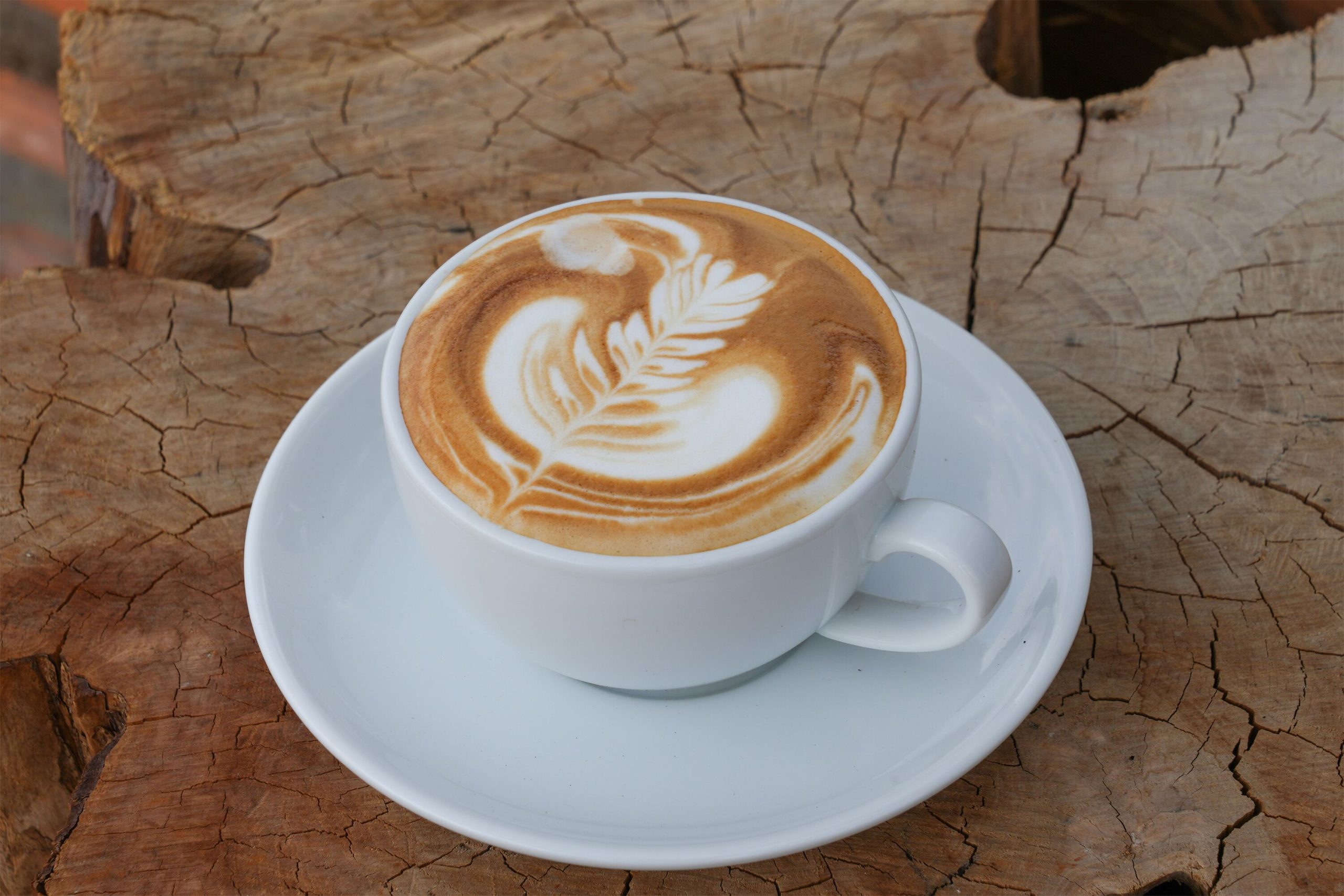 Pida Coffee Farm Lodge