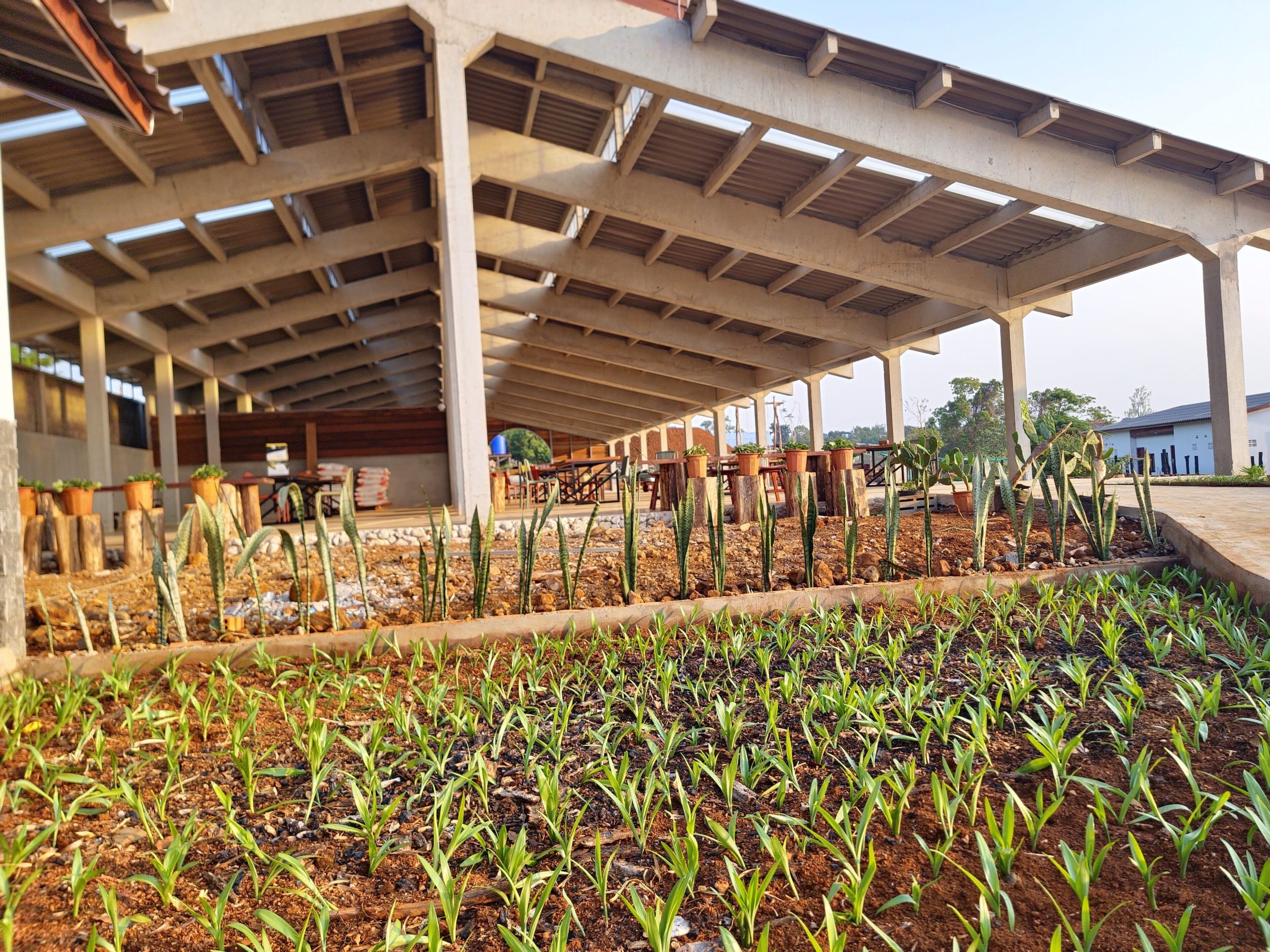 Pida Coffee Farm Lodge