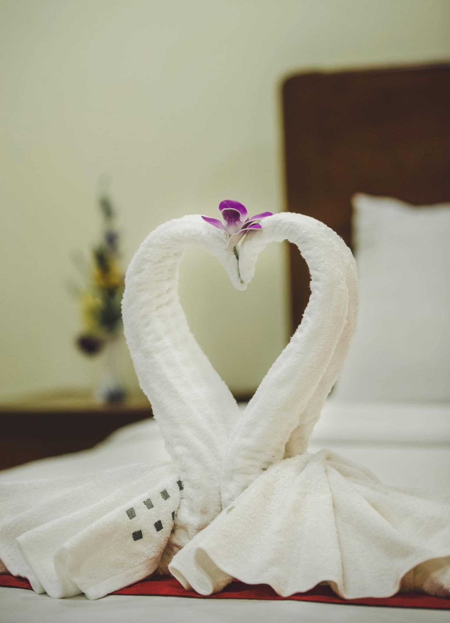 VY CHHE Hotel battambang