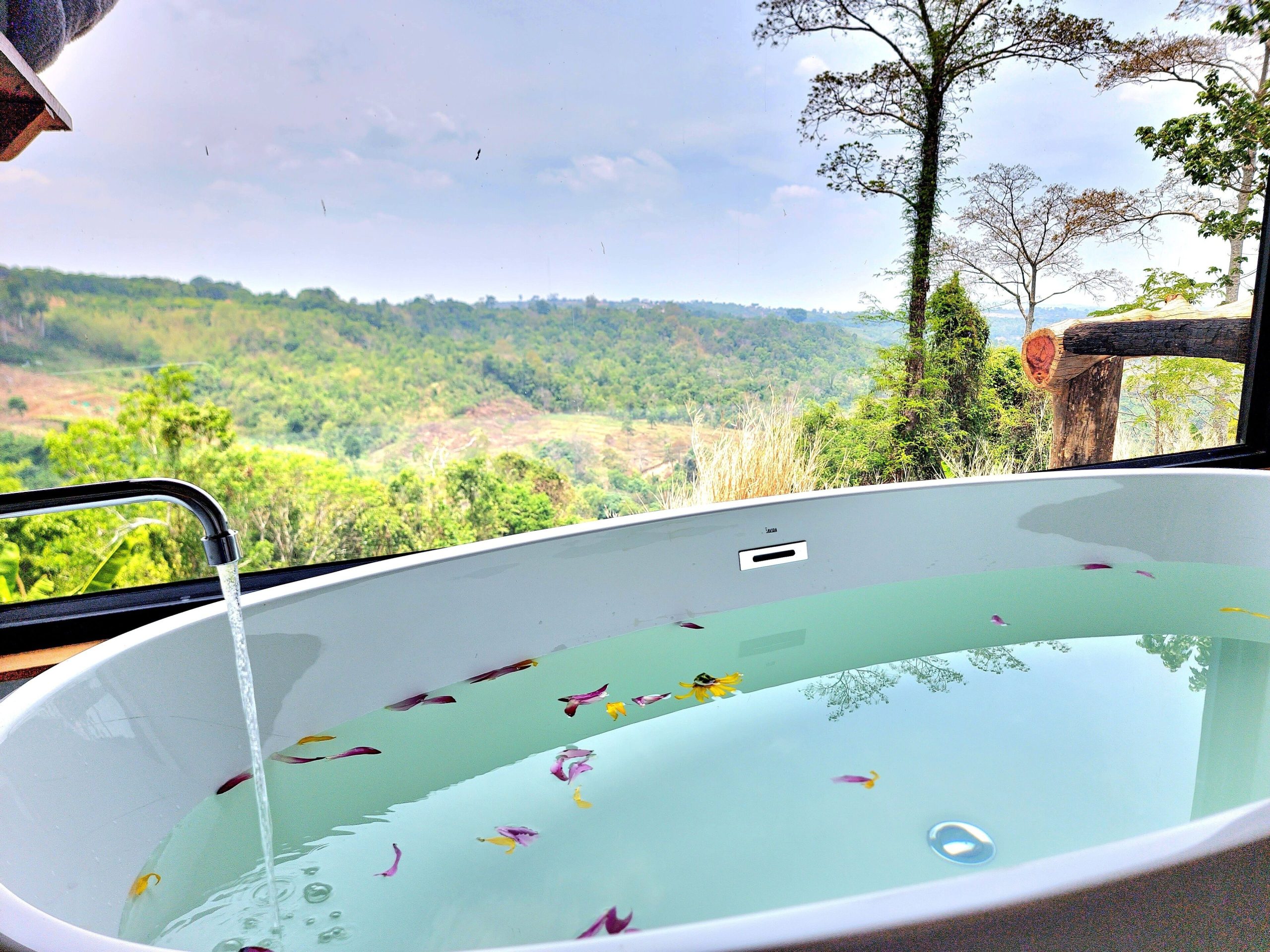 Pida Coffee Farm Lodge